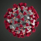200130165125-corona-virus-cdc-image-full-169